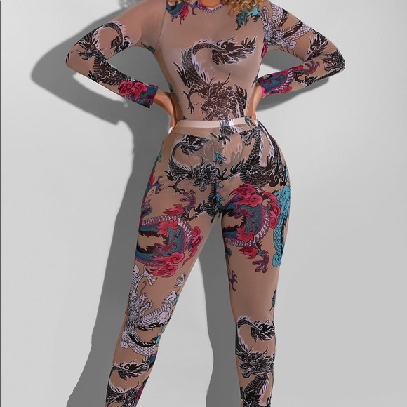 2 Piece Dragon Mesh Set - Picture 1 of 1